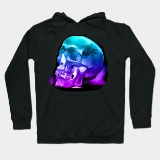 Skull Study 2 Hoodie